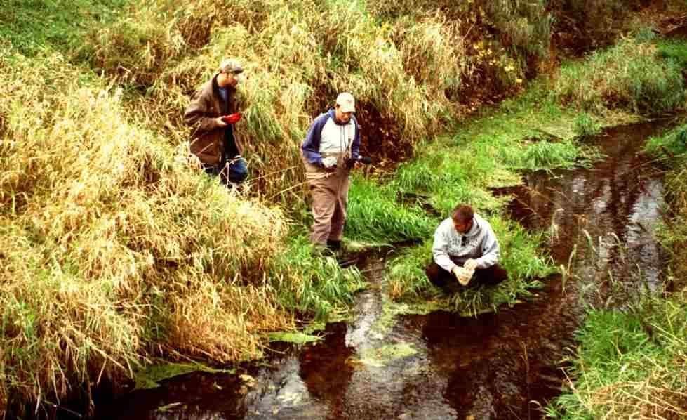 Bachelor of Science in Natural Resources Management - Department of Biology  - Grand Valley State University